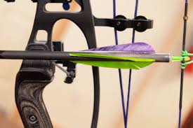 compound bow..